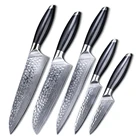 5pcs Professional Japanese 67 Layers Damascus Steel Kitchen Knife Set