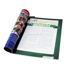 115gsm woodfree paper magazine printed custom fashion book
