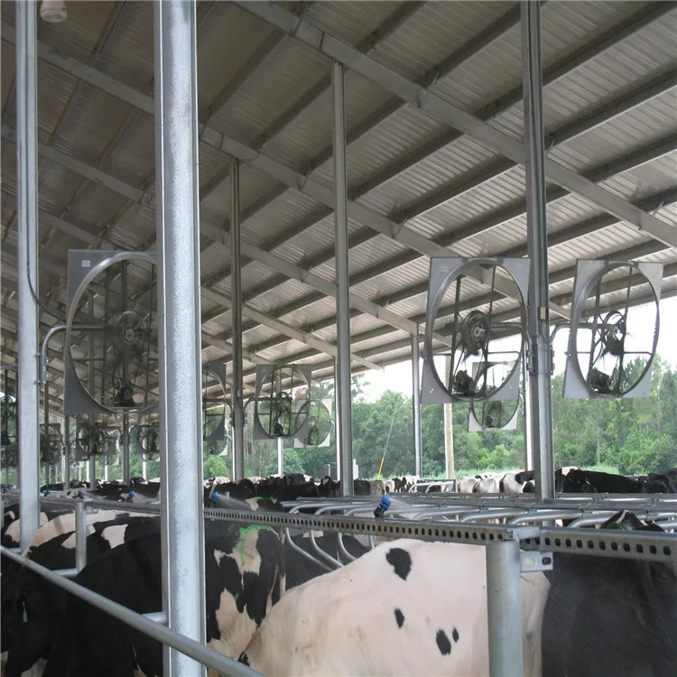 Steel Structure Shed Design Prefabricated Cattle Shed Dairy Shed