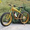 /product-detail/western-style-small-folding-electric-chopper-bike-60509152197.html