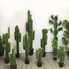 /product-detail/muilti-styles-artificial-succulent-plants-plastic-cactus-for-decoration-60812559827.html