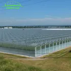 Complete glass agricultural greenhouse turnkey project with quick construction