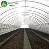 /product-detail/wisemax-agricultural-polytunnel-8m-tunnel-greenhouse-guangzhou-60738689809.html