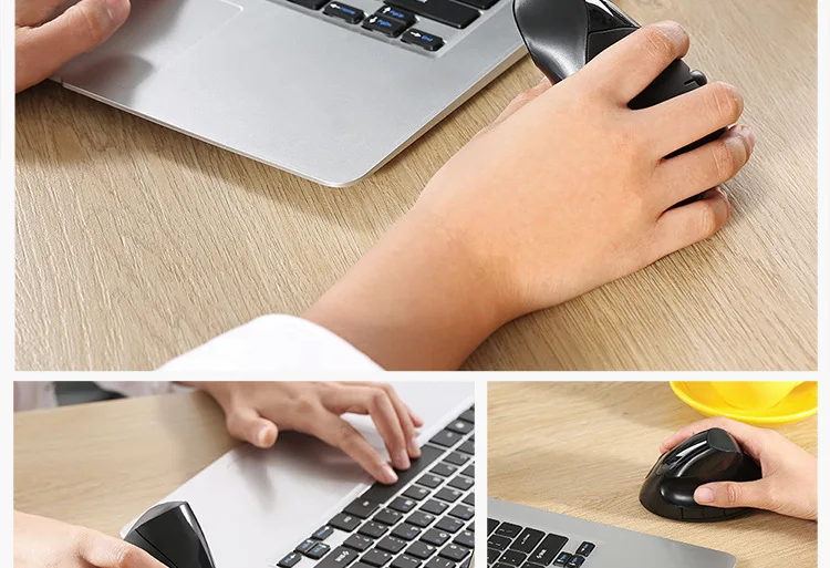 3629024056_113290707