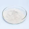 Free Sample Exw Price for 25% Garlic extract powder natural 25% Allicin with best quality