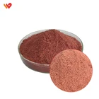 In Stock Food Grade Red Yeast Rice Powder Manufacturer