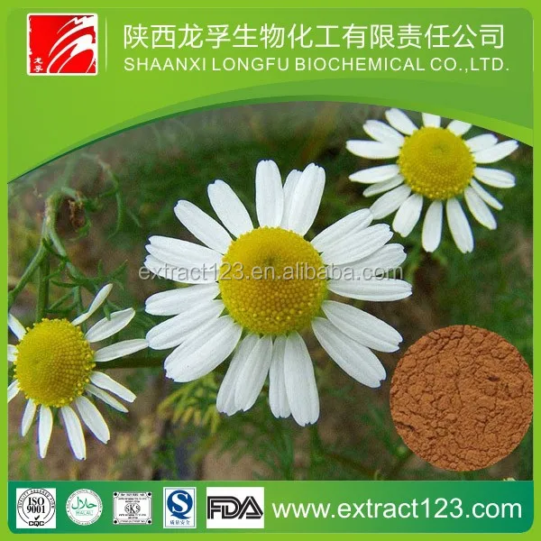 chamomile flower p.e. 98% apigenin