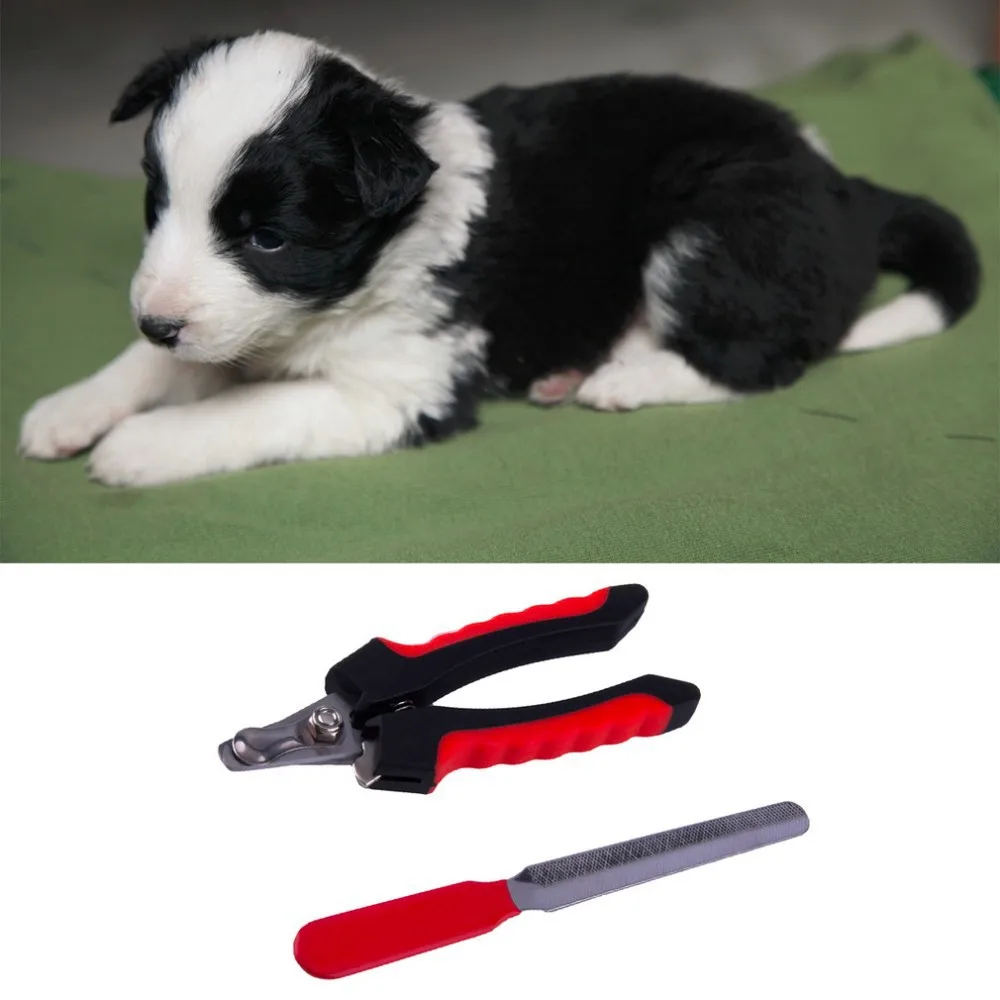 Pet Dog Cat Stainless Steel Professional Nail Toe File Trimmer Clipper Small very suitable popular