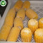 chinese frozen type iqf sweet corn for sale