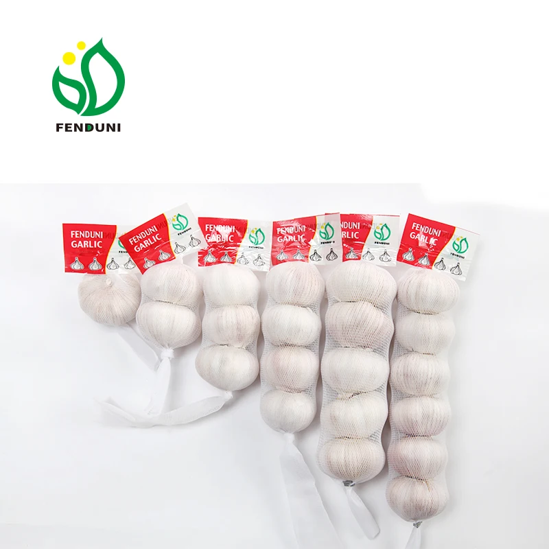 2019 New Crop Fresh White Organic Normal Garlic