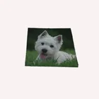 Custom Print Microfiber Glasses Cleaning Cloth