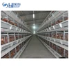 chicken breeding cage/layer egg chicken cage/poultry farm house design