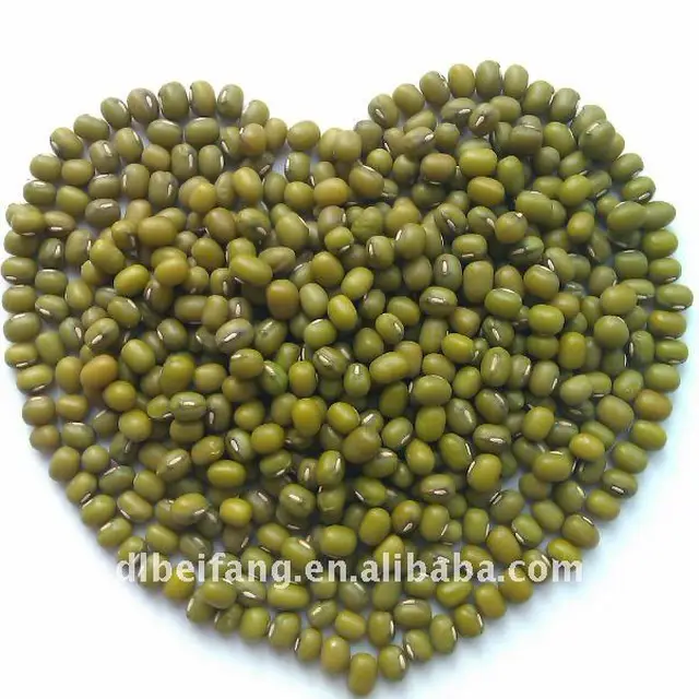 organic green mung bean for sprouting and food grade,2011 crop.