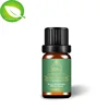 Best herbal tea tree oil brands top quality 100% natural tea tree essential oil