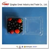 2017 cheap and fine China Supplier Pet Plastic Clamshell Food Container For Fruit/blueberry/strawberry/cherry