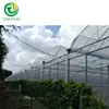 /product-detail/best-design-commercial-plastic-po-film-greenhouse-for-tomato-62118646135.html