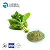 freeze dried vegetable powder 100% organic pure nature with best quality