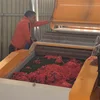Fabric recycling machine