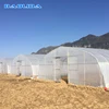 /product-detail/year-end-promotion-poly-tunnel-greenhouse-simple-structure-greenhouse-60433012086.html