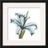 Modern Fine Canvas Print Art Painting beautiful flower designs blue lily painting
