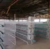 H Type Cage for Broiler Chicken Farm/meat chicken cage