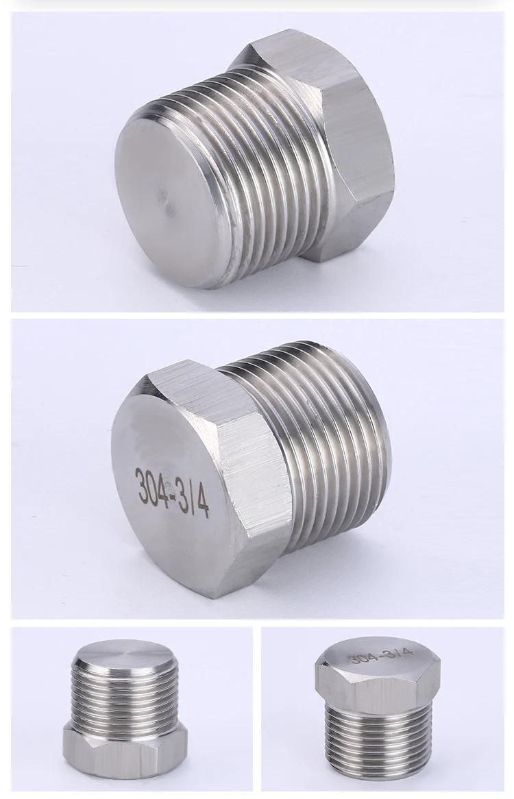 Manufacturer Npt Bspt Bsp Stainless Steel Male Threaded Hex Plug For