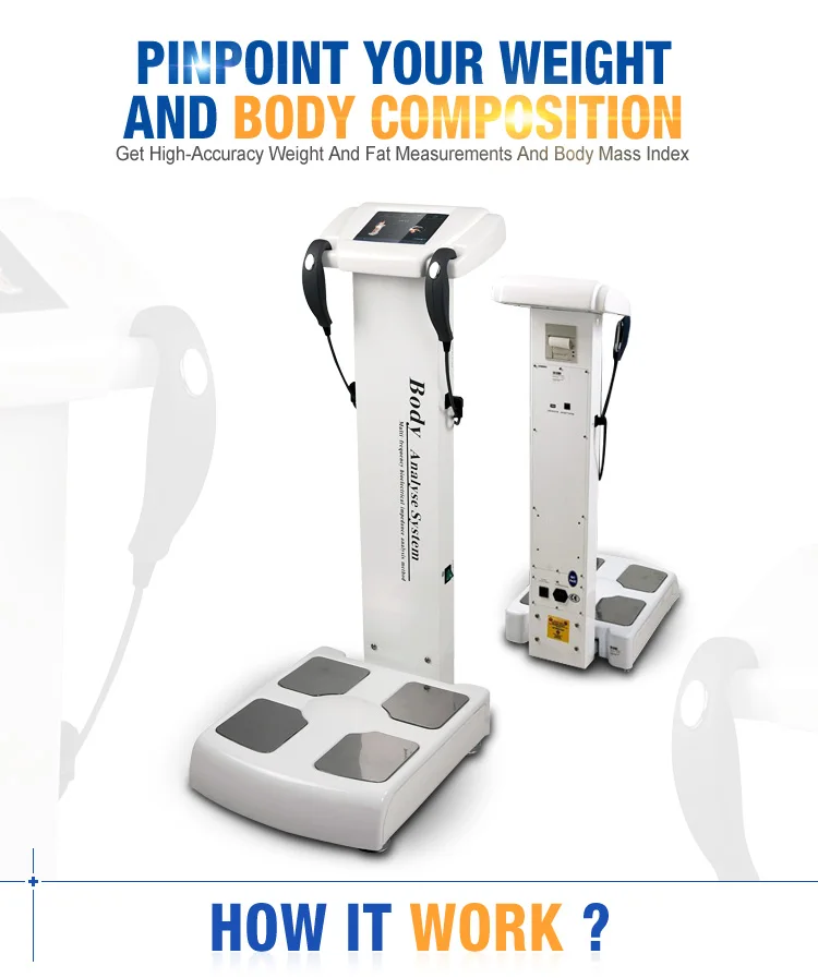 body fat analysis equipment hostel sexey girl adelt porn