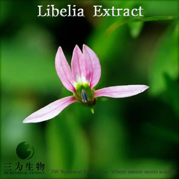 lobelia inflata extract