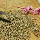 Industrial hemp seeds for bird seeds CBD extraction with good price,bird seed,bird food whosale