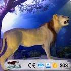 Robot Animals OA1702 Animatronic Lion Jaguar Realistic Mechanical Robot Animals