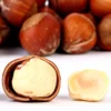 Chinese suppliers roasted hazelnut, Cobnut/Dry Hazelnuts for sale
