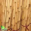 High Quality Organic Certified Bamboo Raw Material