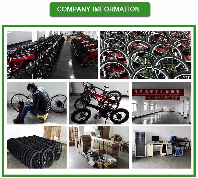 Professional 36V 250w/350W Electric bicycle Kit with water proof ,lithium battery in China