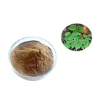 Epimedium Sagittatum Seeds 10% Epimedium Extract Icariin
