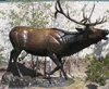 /product-detail/high-quality-bronze-life-size-deer-sculpture-for-decoration-60157780912.html