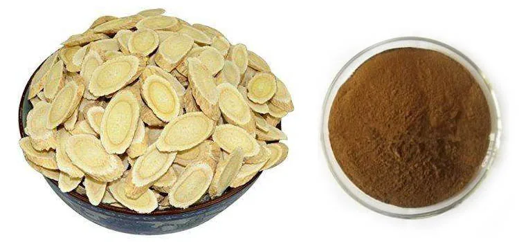 Astragalus Membranaceus Plant Herb Huang Qi Extract Astragalus