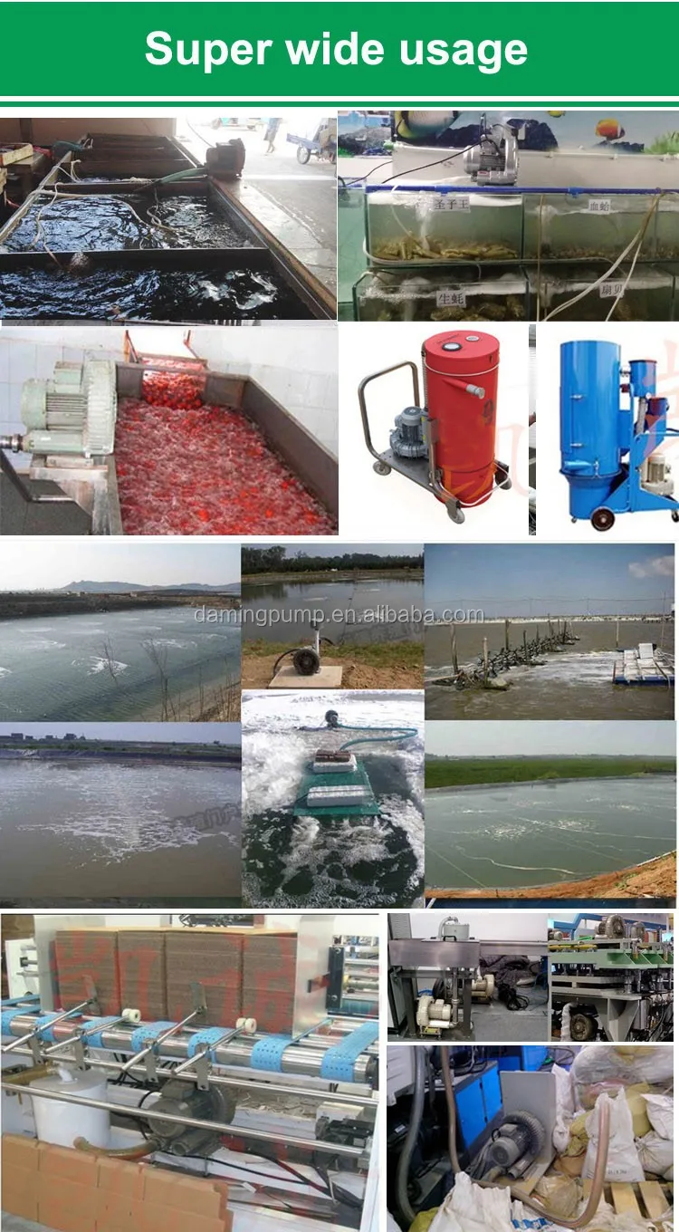 Ring Blower, DAMING, HG-5500 - detail 12