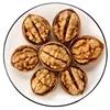 organic gmo green raw walnuts in shell