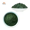 /product-detail/bulk-superfood-producers-natrual-organic-spirulina-powder-60782840649.html