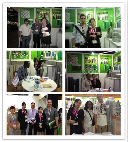 galvanized chicken wire mesh