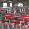 /product-detail/pig-farming-equipment-for-pig-farrow-crates-60406870874.html