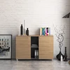 /product-detail/two-doors-lateral-file-cabinet-60739601021.html