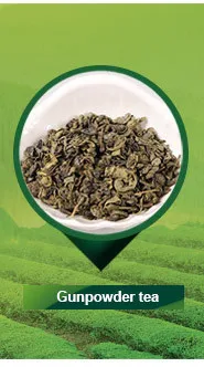 catalog_03.jpg