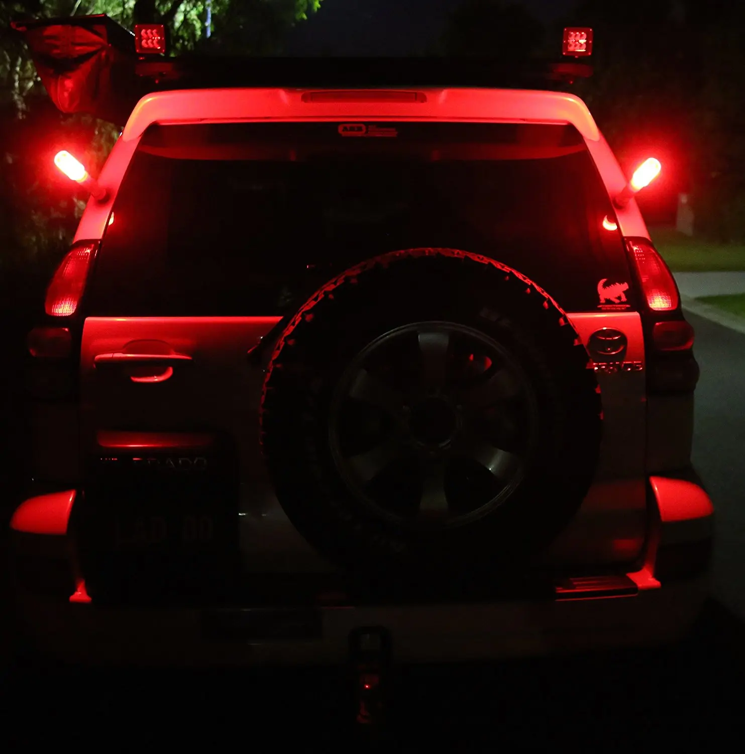 81V6xb8cgtL._SL1500_.jpg