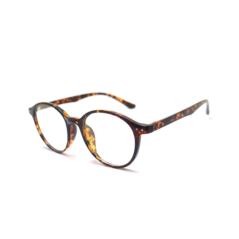 tortoise color eyeglass frames