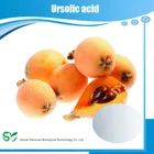 Dried rosemary leaves extract Carnosic Acid/Rosmarinic Acid/Ursolic Acid Manufacturer