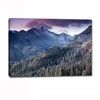 Large Wall Art Coniferous Forest Snow Mountain Picture Photo Print for Room Decor