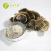 High Quality Dry Herbal Coriolus Versicolor Turkey Tail Extract