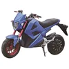 EEC Mini Racing e-bike motor electric dirtbike cross motorcycle