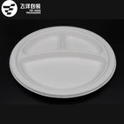 Customized Disposable Birthday Party Bio-degradable Sugarcane Bagasse Pulp Paper Plate